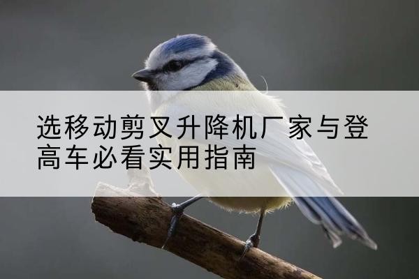 阳新电动升降机厂家-选移动剪叉升降机厂家与登高车必看实用指南