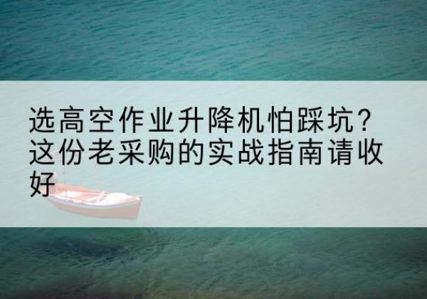 阳新高空作业升降机厂家推荐-选高空作业升降机怕踩坑？这份老采购的实战指南请收好