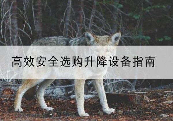 阳新升降货梯厂家推荐-*安全选购升降设备指南