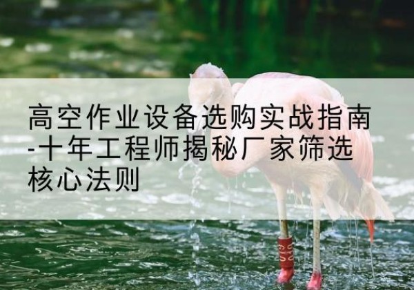 阳新剪叉式升降机厂家-高空作业设备选购实战指南-十年工程师揭秘厂家筛选核心法则